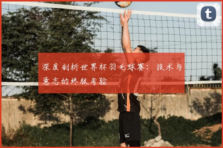 深度剖析世界杯羽毛球赛：技术与意志的终极考验