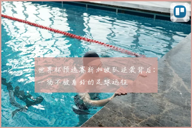 世界杯预选赛新加坡队逆袭背后：一场不被看好的足球远征
