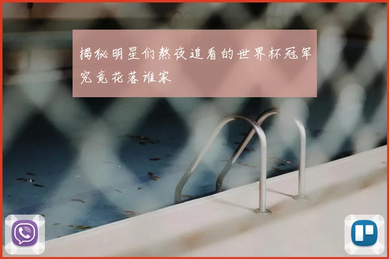 揭秘明星们熬夜追看的世界杯冠军究竟花落谁家