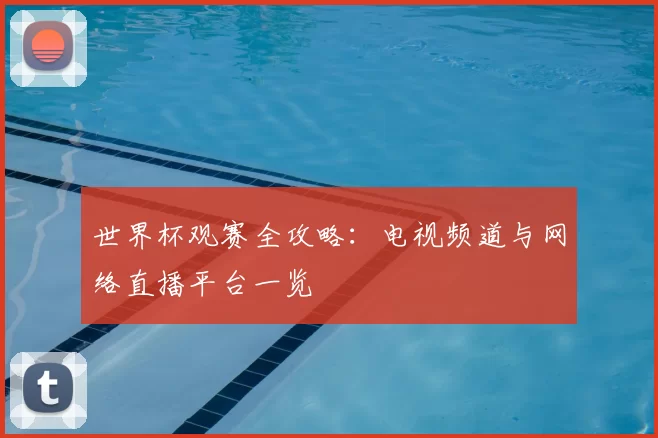 世界杯观赛全攻略：电视频道与网络直播平台一览