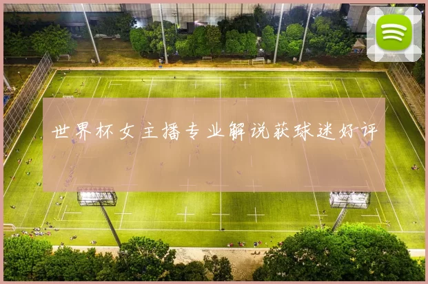 世界杯女主播专业解说获球迷好评