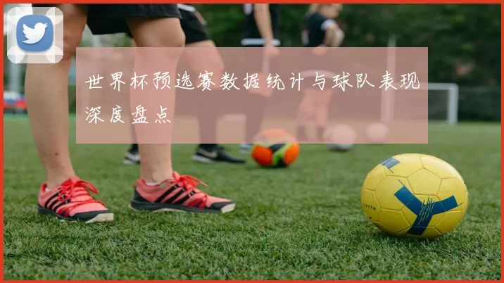 世界杯预选赛数据统计与球队表现深度盘点