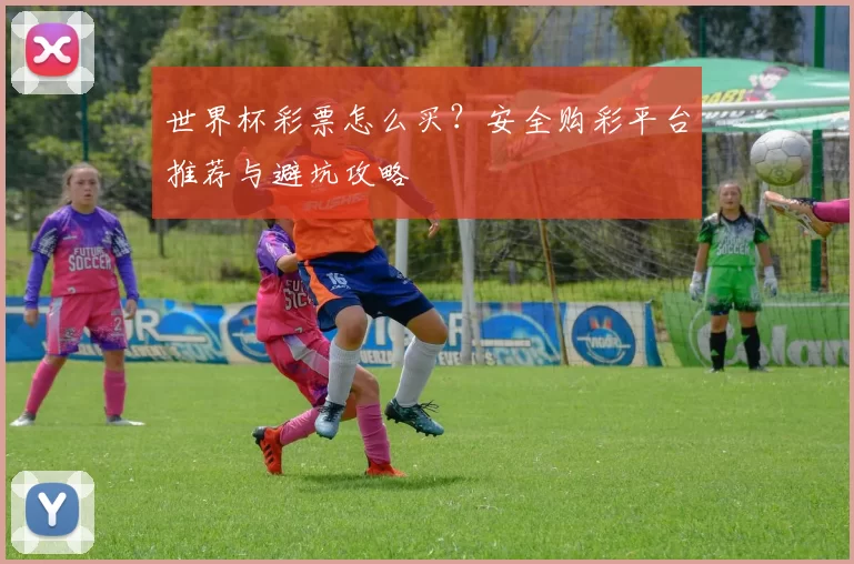世界杯彩票怎么买？安全购彩平台推荐与避坑攻略