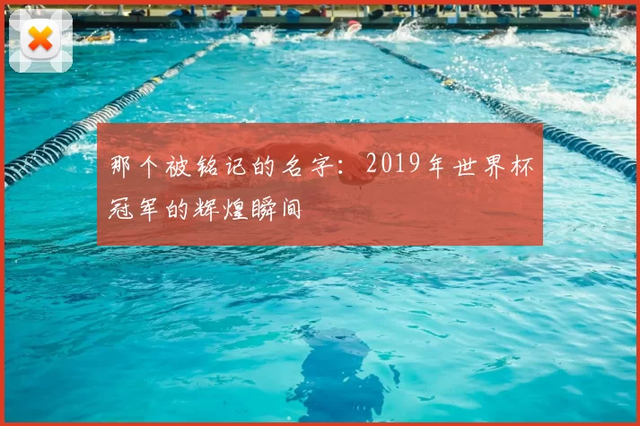 那个被铭记的名字：2019年世界杯冠军的辉煌瞬间