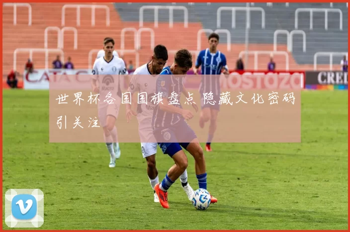 世界杯各国国旗盘点 隐藏文化密码引关注