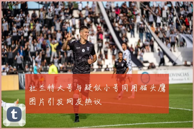 杜兰特大号与疑似小号同用猫头鹰图片引发网友热议