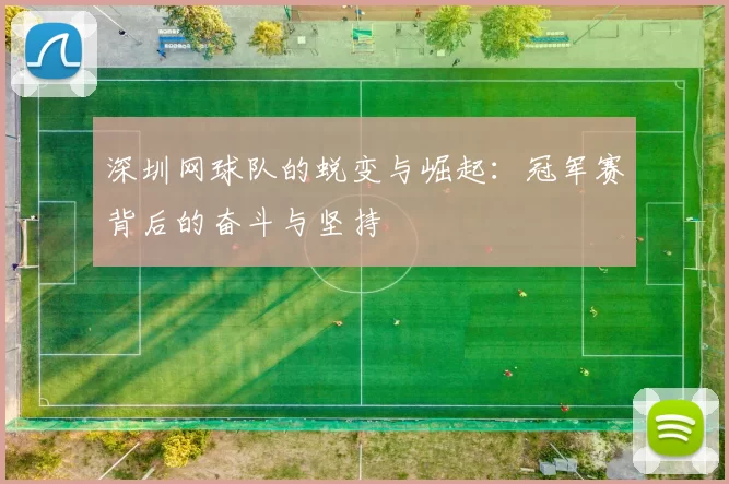 深圳网球队的蜕变与崛起：冠军赛背后的奋斗与坚持