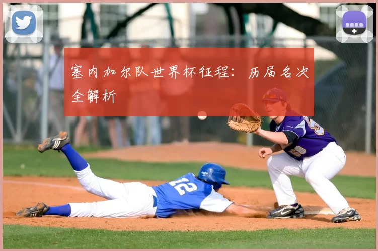 塞内加尔队世界杯征程：历届名次全解析