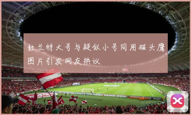 杜兰特大号与疑似小号同用猫头鹰图片引发网友热议