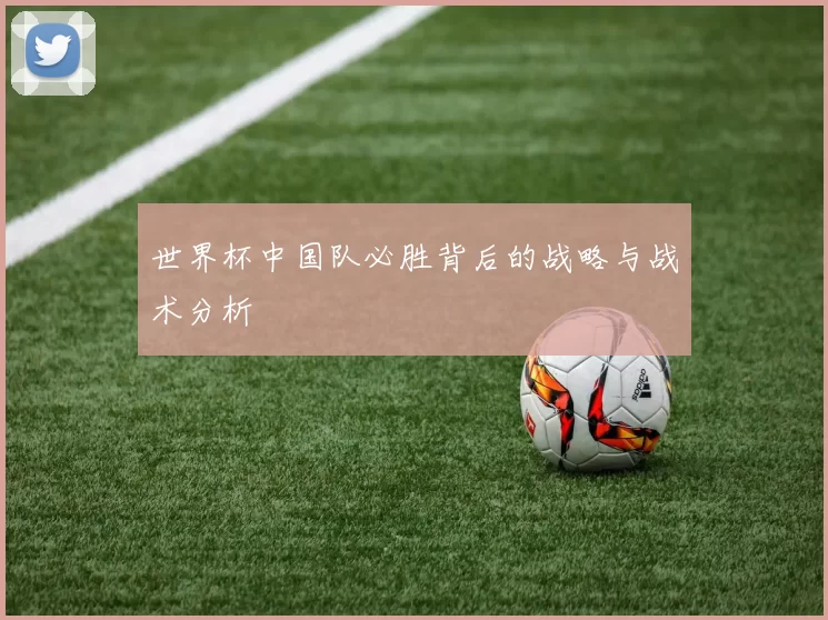 世界杯中国队必胜背后的战略与战术分析