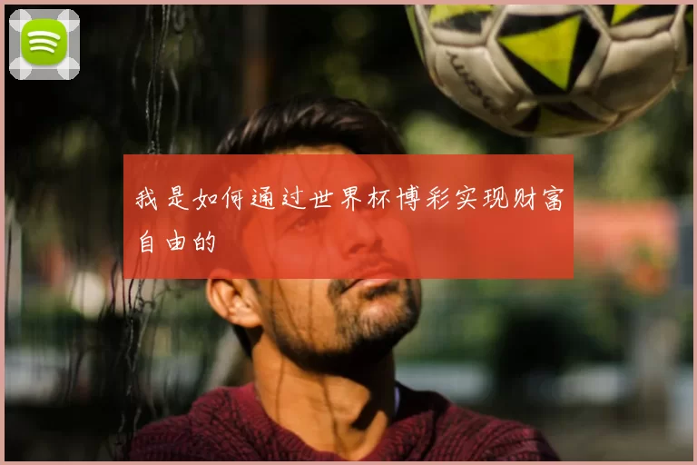 我是如何通过世界杯博彩实现财富自由的