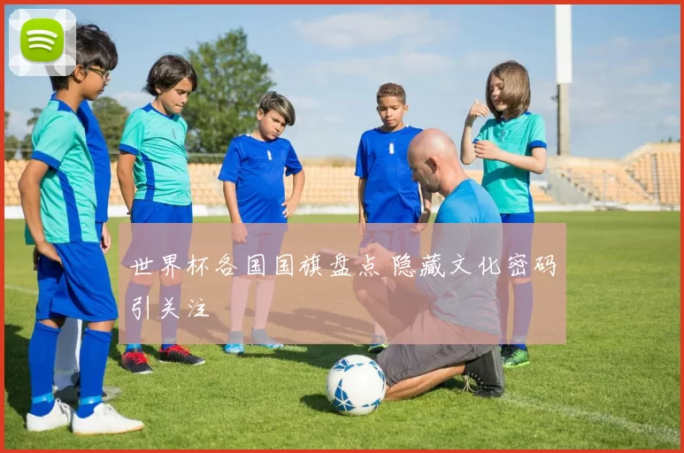 世界杯各国国旗盘点 隐藏文化密码引关注