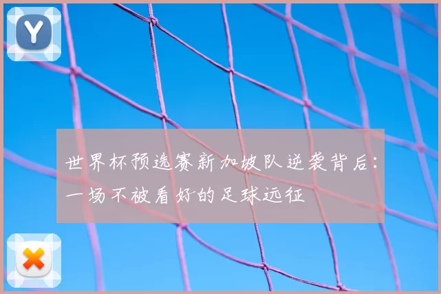 世界杯预选赛新加坡队逆袭背后：一场不被看好的足球远征