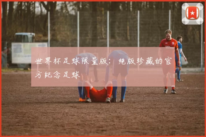 世界杯足球限量版：绝版珍藏的官方纪念足球